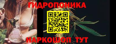 гашик Конаково