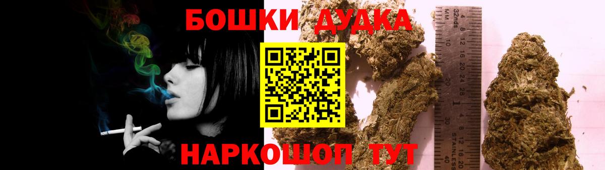 Каннабис сатива Коряжма